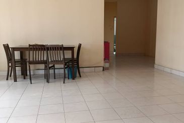 Evergreen Park Scot Pine