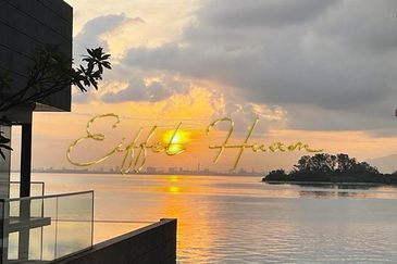 The Light Collection IV