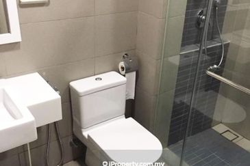 The Light Collection III