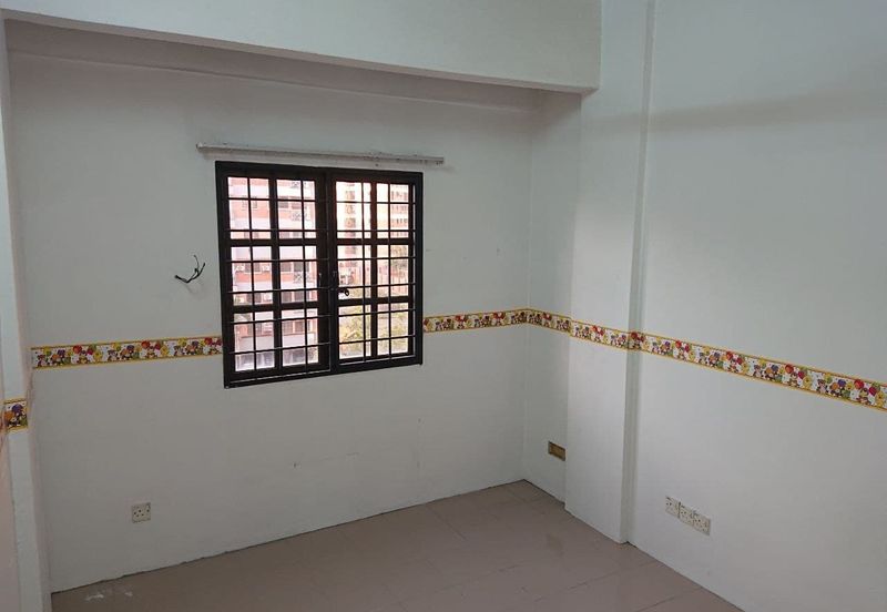 Evergreen Park Acorn and Hazel