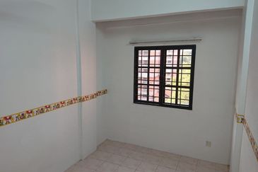 Evergreen Park Acorn and Hazel