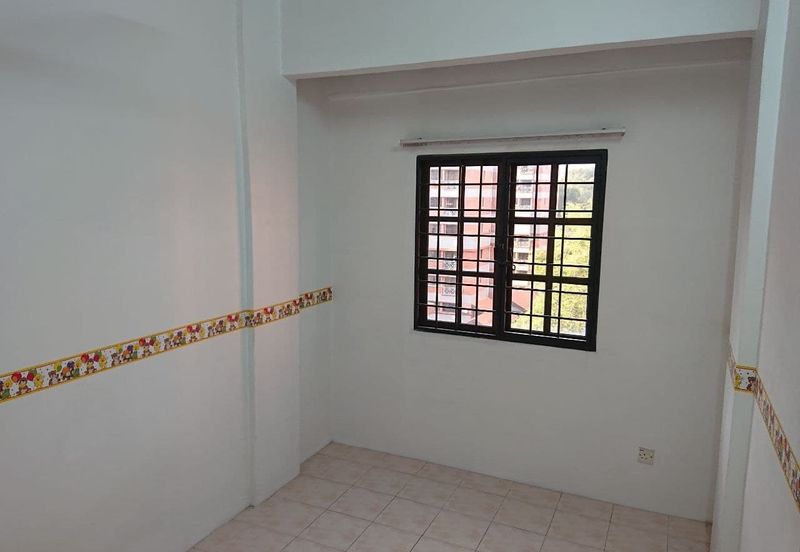 Evergreen Park Acorn and Hazel