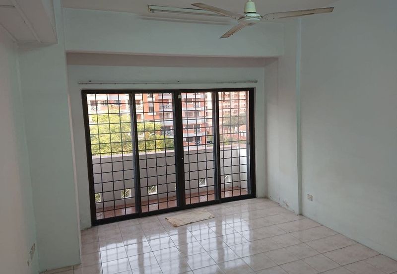 Evergreen Park Acorn and Hazel