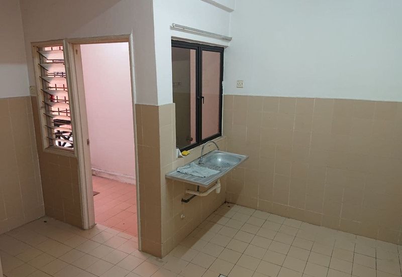 Evergreen Park Acorn and Hazel