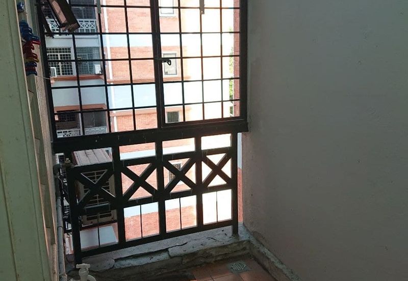 Evergreen Park Acorn and Hazel