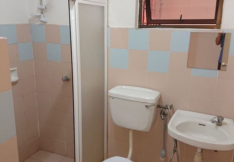 Evergreen Park Acorn and Hazel