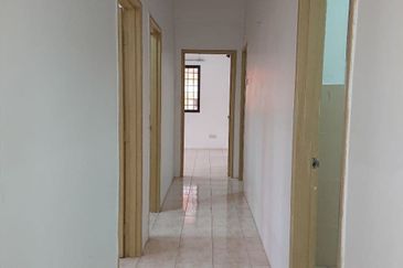 Evergreen Park Acorn and Hazel