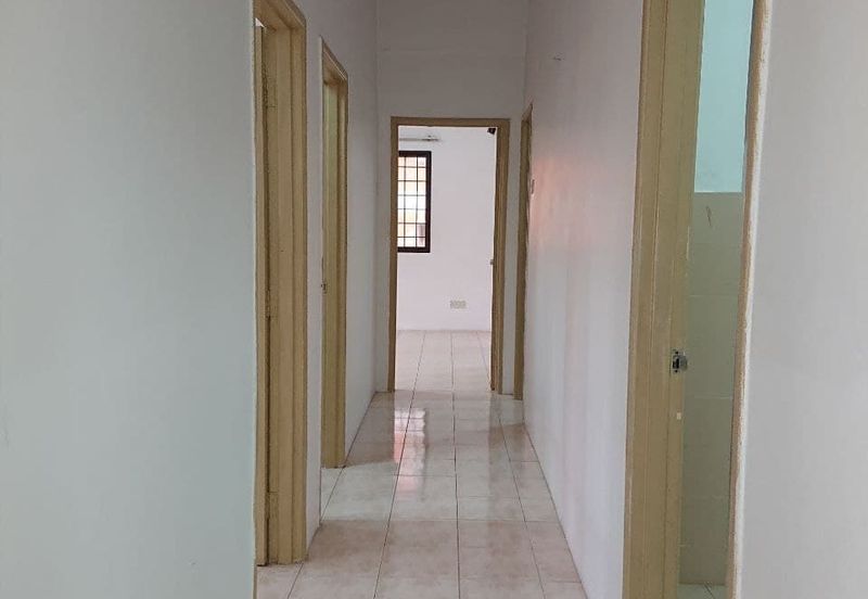 Evergreen Park Acorn and Hazel