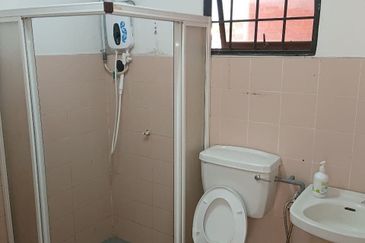 Evergreen Park Acorn and Hazel