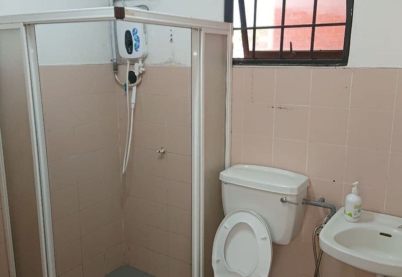 Evergreen Park Acorn and Hazel