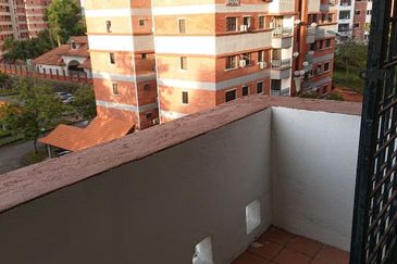 Evergreen Park Acorn and Hazel