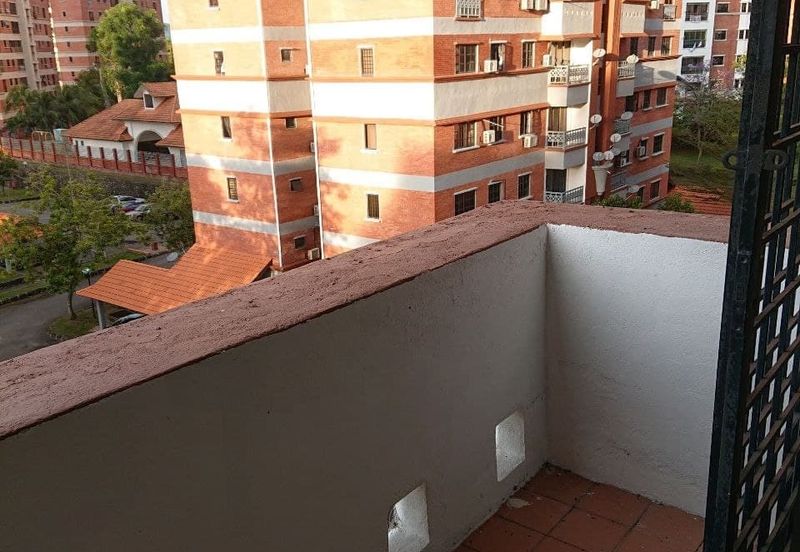 Evergreen Park Acorn and Hazel