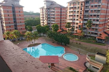 Evergreen Park Acorn and Hazel
