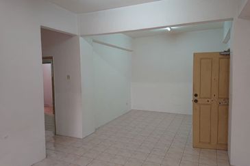 Evergreen Park Acorn and Hazel