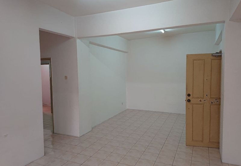 Evergreen Park Acorn and Hazel