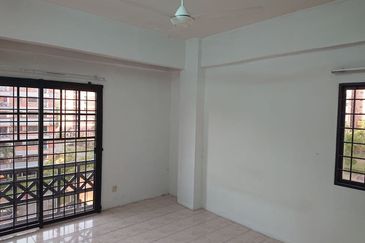 Evergreen Park Acorn and Hazel