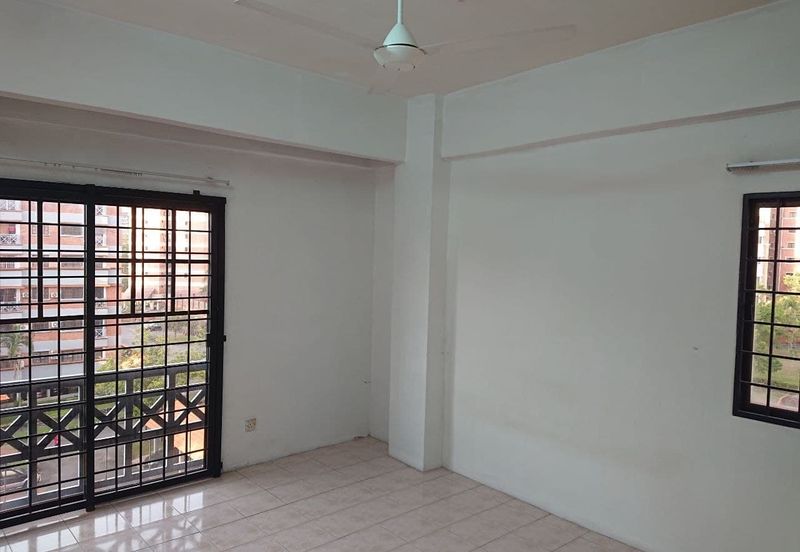 Evergreen Park Acorn and Hazel