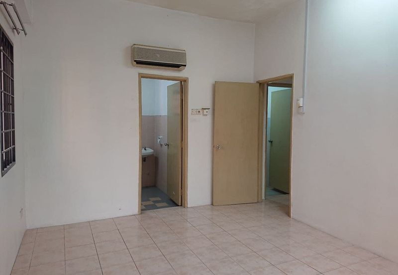 Evergreen Park Acorn and Hazel