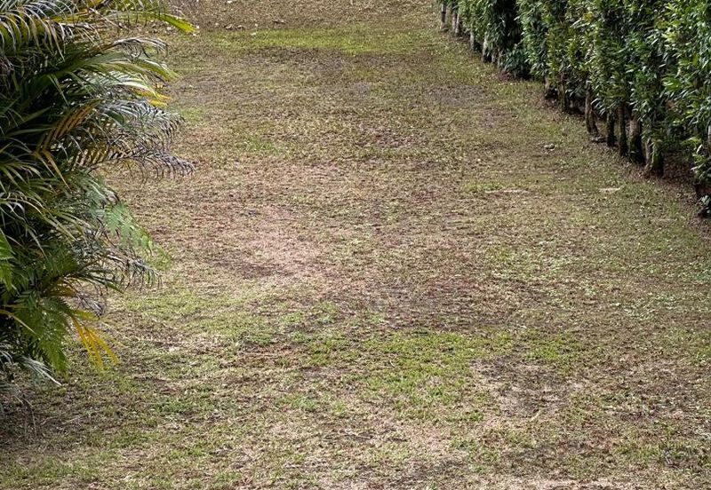 Rasah Kemayan Bungalow