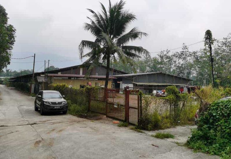 Taman Serunai, Jalan Labu