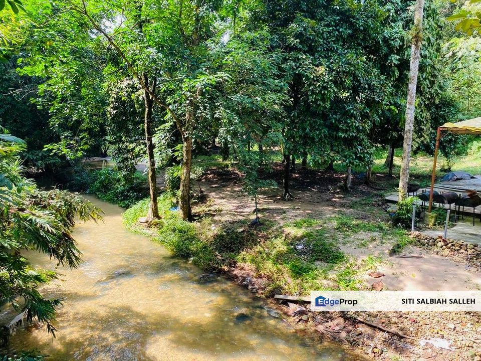 Agriculture Land Taman Rimba Bukit Lagong, Selayang, Selangor, Selayang