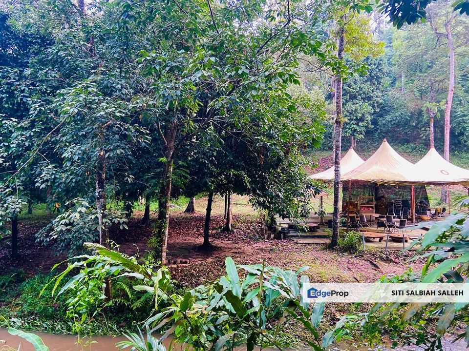 Agriculture Land Taman Rimba Bukit Lagong, Selayang, Selangor, Selayang