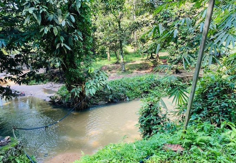 Agriculture Land Taman Rimba Bukit Lagong, Selayang