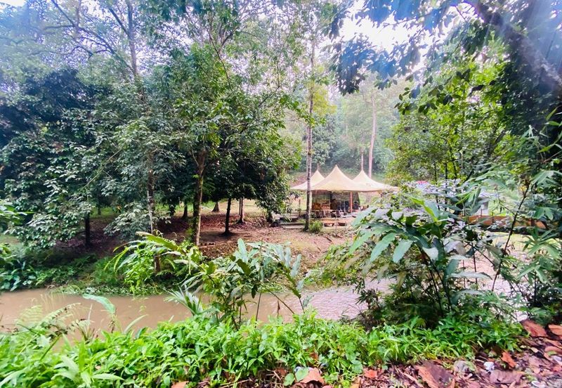 Agriculture Land Taman Rimba Bukit Lagong, Selayang