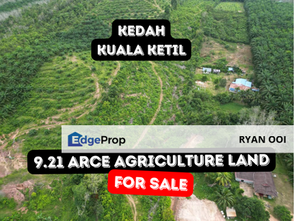  9.21 arce Agriculture Land For Sale @ Kuala Ketil, Kedah, Kedah, Kuala Ketil