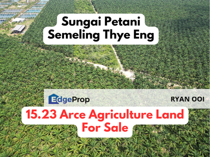 15.23 Arces Agriculture Land For Sale @ Semeling Thye Eng, Sungai Petani, Kedah, Kedah, Sungai Petani