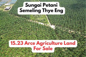 15.23 Arces Agriculture Land For Sale @ Semeling Thye Eng, Sungai Petani, Kedah
