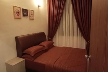 IMPERIO PROFESIONAL SUITE