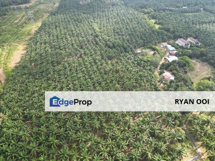 Agriculture Land For Sale, Padang Meha, Kedah, Pokok Sawit Land, Kedah, Karangan