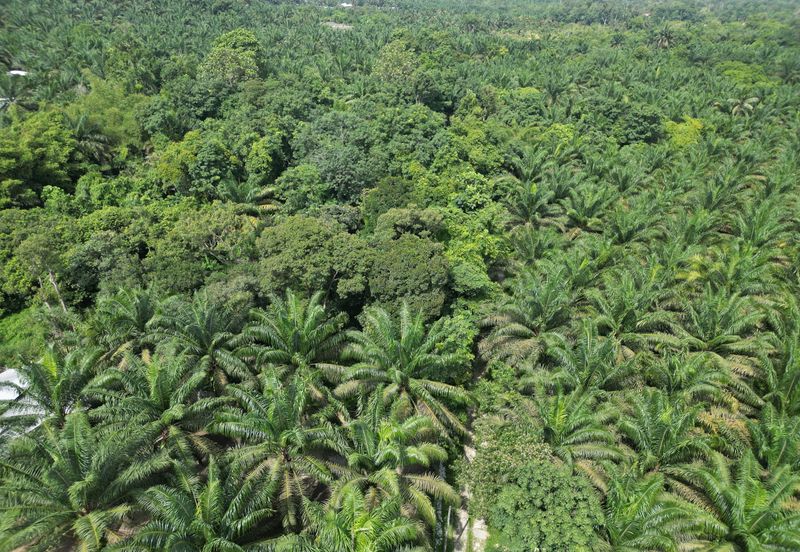 Kampung Baru Junjong