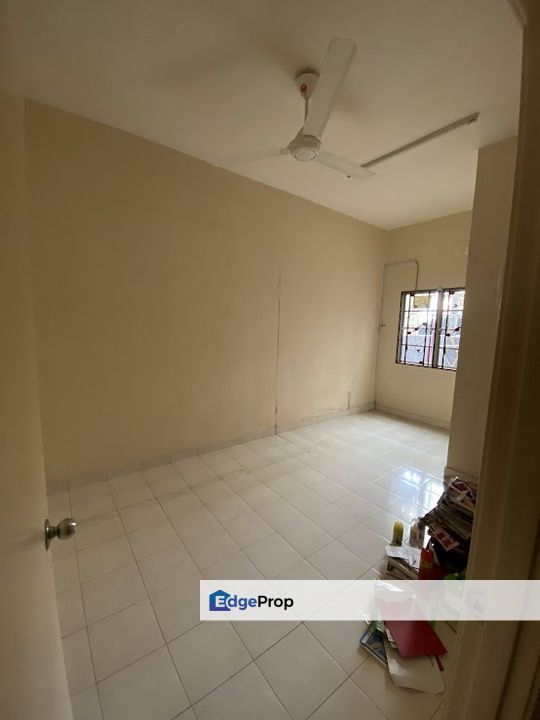 Alstonia Denai Alam, Selangor, Shah Alam