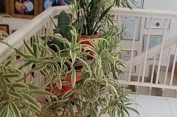 Taman Mutiara Subang