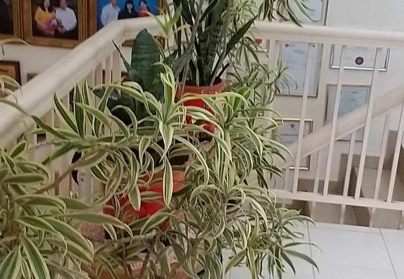 Taman Mutiara Subang