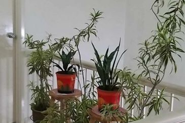 Taman Mutiara Subang