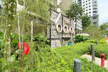 The Ooak (Kiara 163)