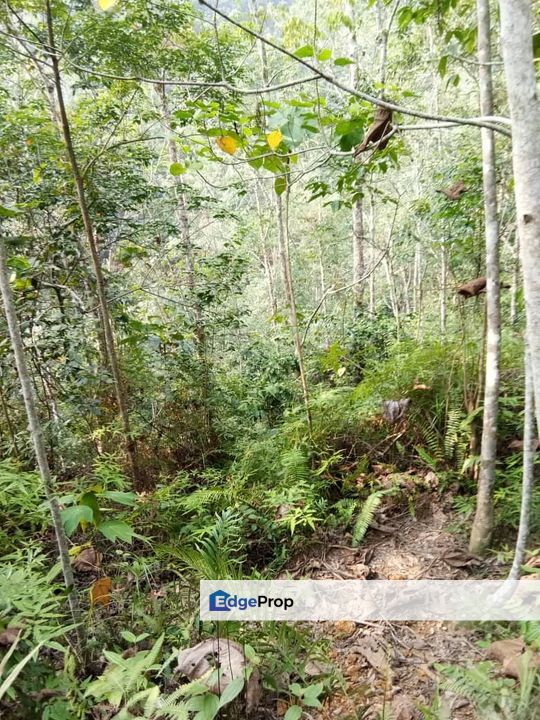  Tanah pertanian 6.09 ekar di Mukim Batu Talam Raub, Pahang, Raub