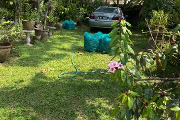 Damansara Heights (Bukit Damansara)