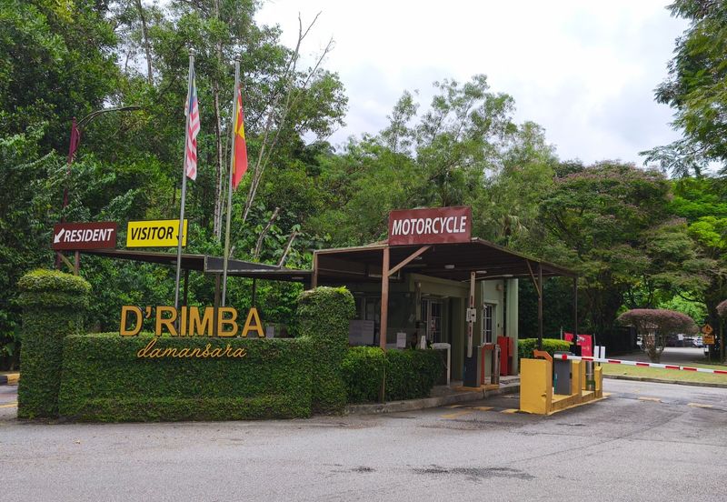D'Rimba