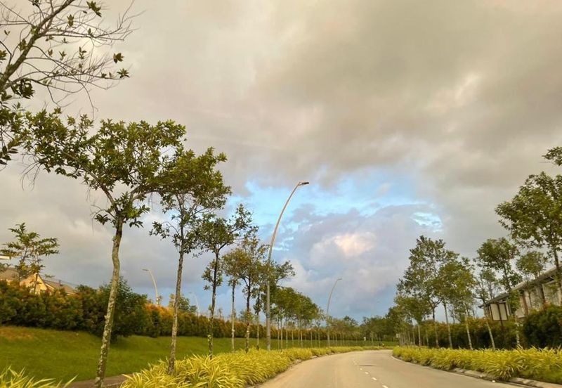 Reesia Elmina Garden