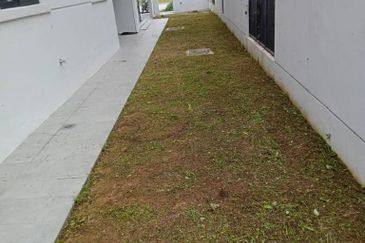 Reesia Elmina Garden