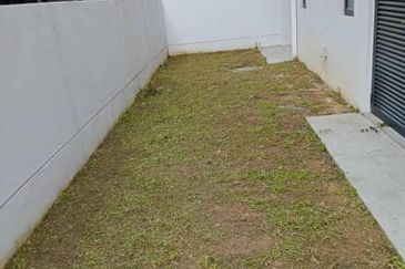 Reesia Elmina Garden