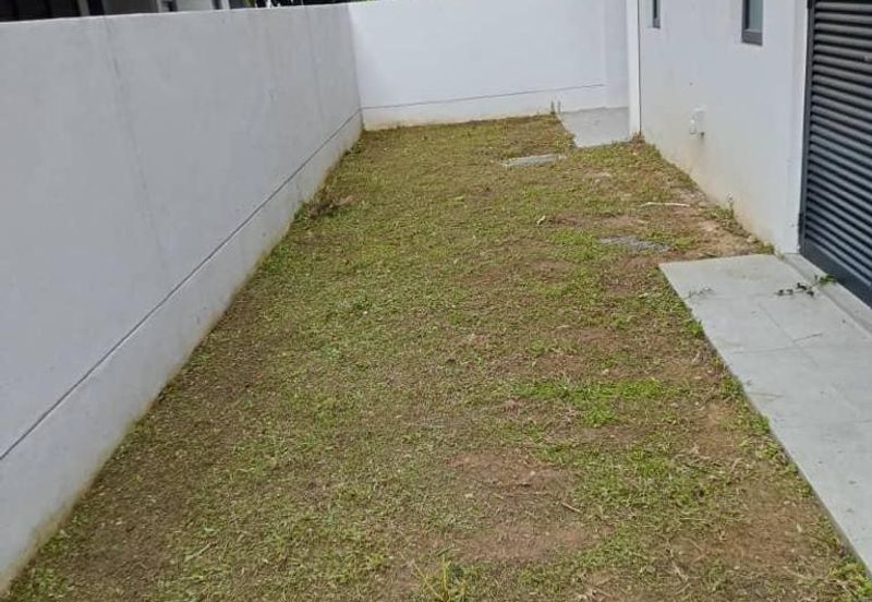 Reesia Elmina Garden