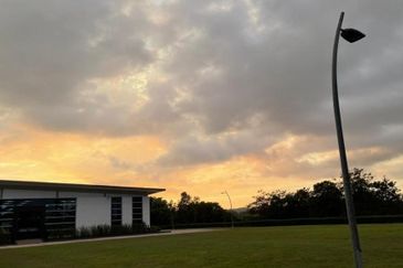 Reesia Elmina Garden