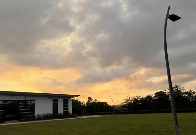 Reesia Elmina Garden