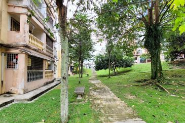 Palma Perak, Seksyen 6 Kota Damansara