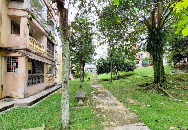 Palma Perak, Seksyen 6 Kota Damansara